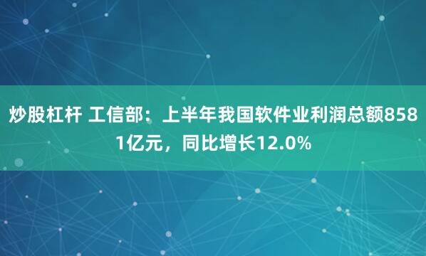 炒股杠杆 工信部：上半年我国软件业利润总额8581亿元，同比增长12.0%