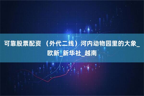 可靠股票配资 （外代二线）河内动物园里的大象_欧新_新华社_越南